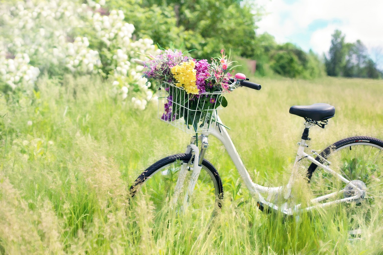 Biały rower z kwiatkami w koszyku na kierownicy stojący na łące wśród trawy